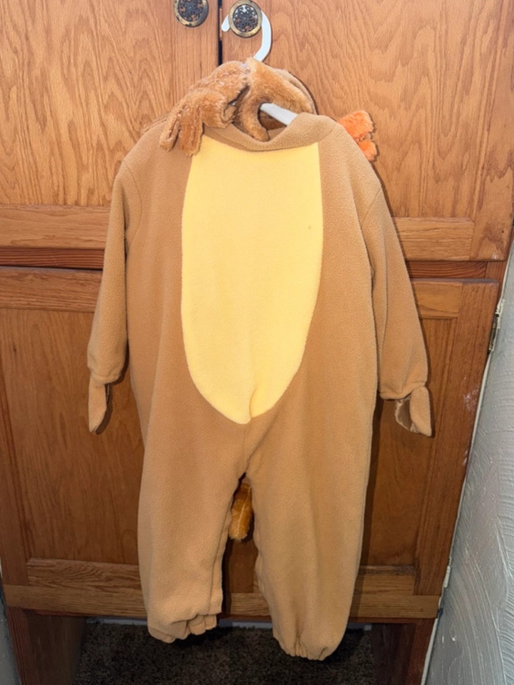 Toddler Lion Costume